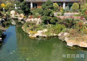 鷹潭市月湖區鷹潭市月湖區寫字樓出售