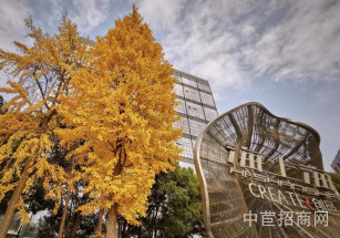 潮州市饒平縣潮州市饒平縣寫字樓出售