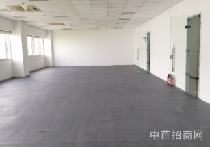 上海市漕河涇物業招租上海徐匯區辦公出租 虹欽園59號5樓