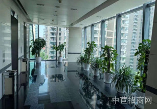 來賓市合山市來賓市合山市寫字樓出售