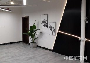 成都市蒲江縣寫字樓出售闊景大平層成都市辦公寫字樓出售絕版企業獨棟