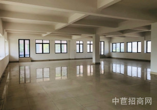 上海工業綜合開發區奉賢肖南路辦公樓，精裝修，有水吧，天臺等