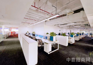 白城市鎮賚縣寫字樓出售核心位置鎮賚縣辦公寫字樓出售超低單價獨棟辦公樓