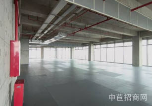 鐵嶺市清河區寫字樓出售核心位置清河區辦公寫字樓出售高端花園式總部獨棟 辦公研發 超150%使用率