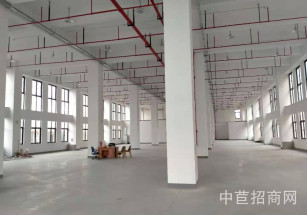 泗涇九干公路新建廠房泗涇九干公路新建廠房出售