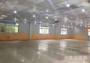 中春路臨街門店*