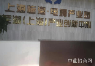 松江九亭九新公路梁杭工業(yè)園九新公路花園式廠房辦公樓出租