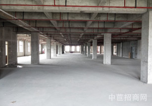  復旦(醫大)奧醫生物醫學高新園區奉賢東方美谷核心區域 104板塊 客貨分離