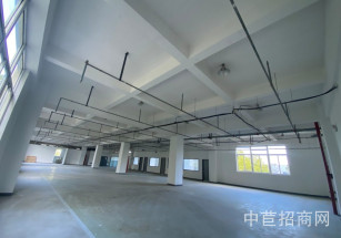 晶碧科技園閔行區(qū)都會路廠房出租 大平層 1000平方