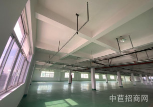 晶碧科技園閔行區(qū)都會路廠房出租 大平層 1622平方 可環(huán)評 104地