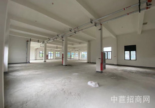 龍湖藍海引擎科創中心 上海閔行區廠房出租 獨立產權 雙層  #4/#5