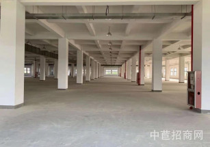 大正海工配套產業基地單層高8米廠房，可做噴漆環評純車間 可架行車
