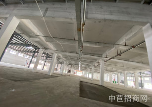 松江工業區 21畝四棟獨門獨院上海松江區單層廠房出售 獨立產權 獨門獨院4