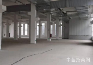 大正海工配套產業基地多層廠房出售，貨梯三噸 帶宿舍 