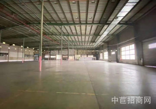 松江老城區欣玉路555號松江老城區 獨幢13000平 9米倉庫出租