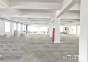 駿旗電器104板塊、大環評獨棟廠房出租