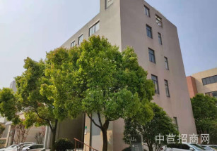 聯東U谷嘉定國際企業港嘉定園區直租獨棟800精裝平，大電量可環評配套全無公攤帶裝修