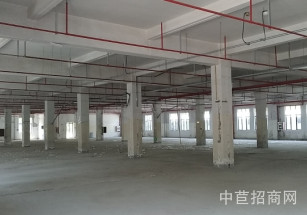 CUBEWORK燈塔創(chuàng)意園顓橋鎮(zhèn)廠房出租 6號(hào)樓