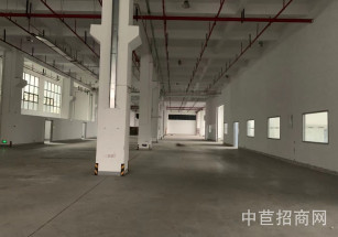 車墩鎮車陽路331號松江車墩 層高.9米 單層面積8500 帶牛腿