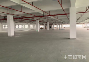 車墩鎮(zhèn)車陽路331號