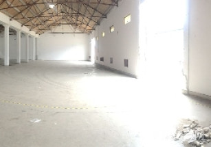 銀都西路申南四路新橋鎮(zhèn) 純單層倉(cāng)庫(kù) 1240平米 6.5米