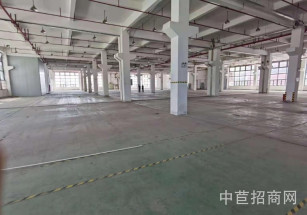 諾旋松江新飛路創(chuàng)新產(chǎn)業(yè)園新飛路 雙層廠房6414平 7米高