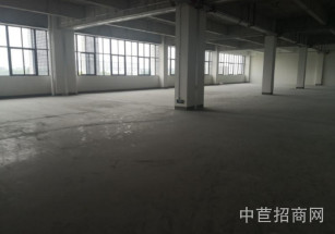  清控人居產(chǎn)業(yè)園松江新橋 420平，層高5米，特價(jià)房源，1元含9個(gè)點(diǎn)增票