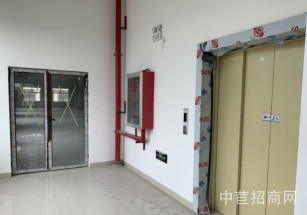 洞涇出租廠房104板塊 大業主直招，無公攤 空地大