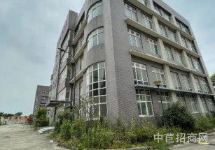 向陽路顓橋新園區(qū)獨棟廠房，多層一樓6米樓上4米貨梯2噸，104板塊可環(huán)評