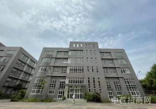 向陽路顓橋新園區104板塊研發辦公廠房出租 一樓6米，樓上4米貨梯2噸