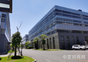  G60國際智能產業園洞涇鎮廠房二樓出租 7.8米高 分割小面積 104