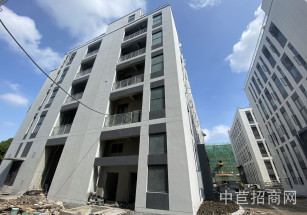 金地威新達闥人工智能創新產業基地閔行開發區 104地獨棟廠房3400 共4層 適合總部辦公