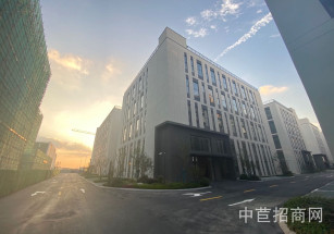 金地威新達闥人工智能創新產業基地閔行開發區 獨棟雙拼廠房6902平 環境好 空地大