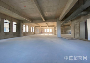 金地威新中科園閔行區(qū)獨(dú)棟廠房出租 104可分割可環(huán)平