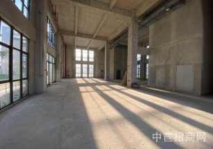 金地威新中科園閔行區獨棟廠房分層出租 262平樓上 104可環平