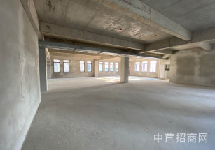 金地威新中科園閔行區(qū)獨棟廠房分割出租樓上524平 104可環(huán)平