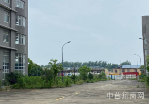 向陽路向陽路104地 研發樓700平 可分割 無中介費