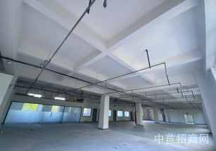 晶碧科技園閔行 104地環(huán)氧地坪研發(fā)樓 含票 單層2613平 