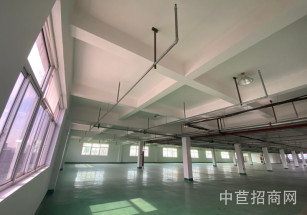 晶碧科技園顓橋鎮(zhèn)1300平，環(huán)氧地坪，配有貨梯,價格含票，輕加工，倉儲