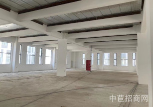 閔行區金地威新閔行科創園（試錄）莘莊工業區 104 可環評 無公攤445平米辦公廠房 