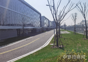 臨港金山楓涇先進制造業(yè)基地（一期）楓涇單層廠房出租 1# 3422平層高10米