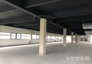 臨港金山先進制造業基地（二期）金山多層廠房出租 B4 2F 可環平可注冊