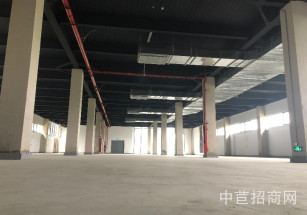 臨港金山先進制造業基地（二期）金山多層廠房出租 B1 1F 可環平可注冊