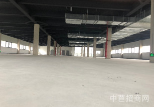 臨港金山先進制造業基地（二期）金山多層廠房出租 B1 4F 可環平可注冊