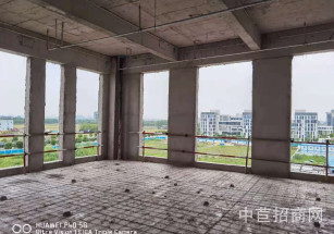 中電信息港松江西部開發(fā)區(qū)獨棟 最小可分割200平出售