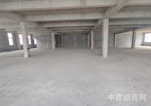 中南高科平湖科創智谷1平湖104地塊 2200平獨棟廠房 價格低可環評