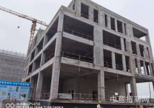 中電信息港松江經開區區 獨棟廠房出售 可分割 適合電子信息、集成電路