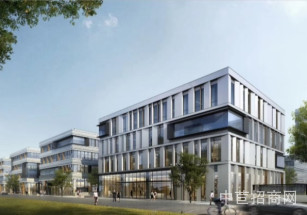 中電信息港松江西部開發區 開發商直售 可分層 高大上智能園區