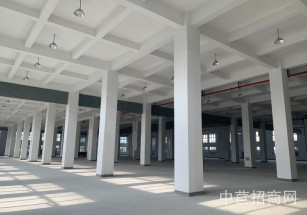 臨港九亭復旦科技園1九亭104地塊 總價低 可環評 2000平聯排研發辦公廠房