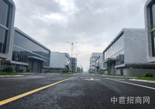 臨港金山先進制造業基地三期金山單層廠房出租 可環平可分割104 A6